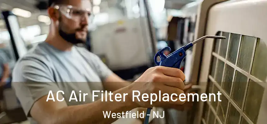 AC Air Filter Replacement Westfield - NJ