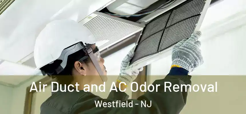 Air Duct and AC Odor Removal Westfield - NJ