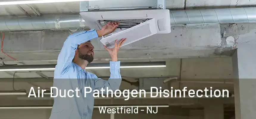 Air Duct Pathogen Disinfection Westfield - NJ