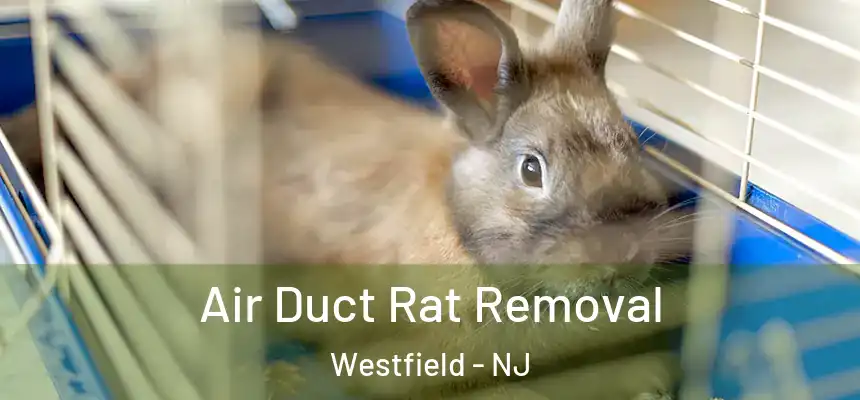 Air Duct Rat Removal Westfield - NJ