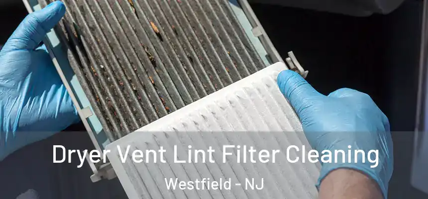 Dryer Vent Lint Filter Cleaning Westfield - NJ