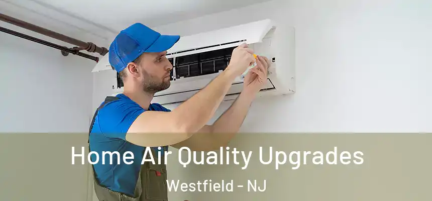Home Air Quality Upgrades Westfield - NJ