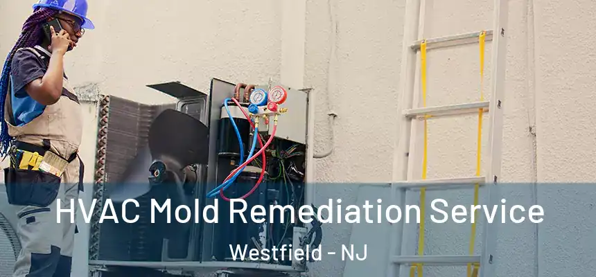 HVAC Mold Remediation Service Westfield - NJ