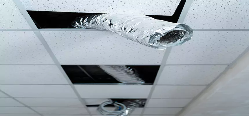 Our Air Duct Pet Hair Removal Services in Westfield, NJ