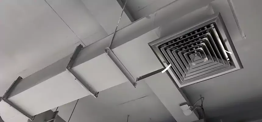 Our Pest Removal From Ducts Services in Westfield, NJ