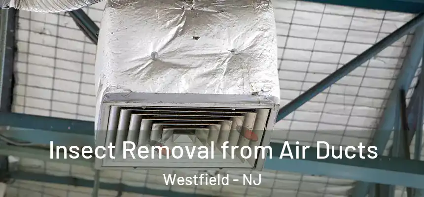 Insect Removal from Air Ducts Westfield - NJ