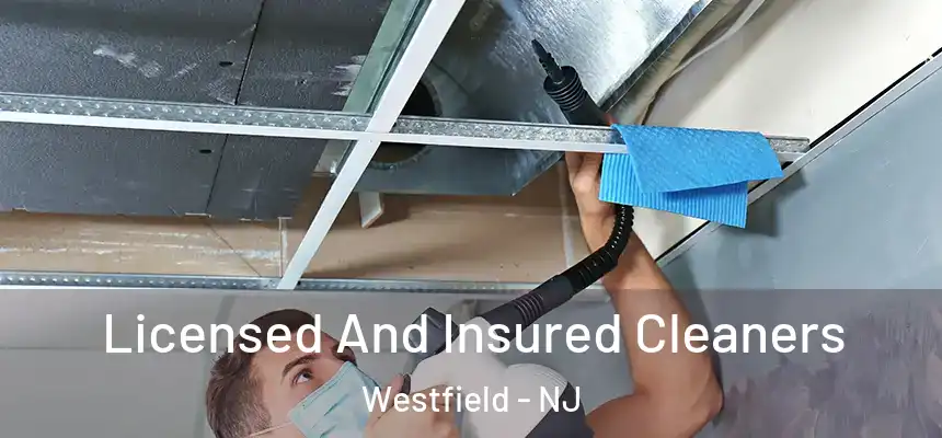  Licensed And Insured Cleaners Westfield - NJ
