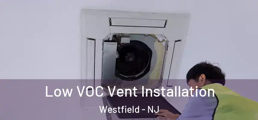  Low VOC Vent Installation Westfield - NJ