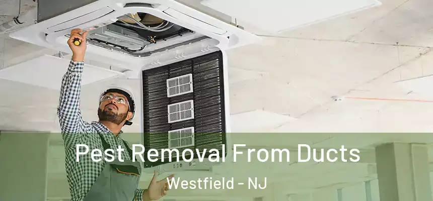  Pest Removal From Ducts Westfield - NJ