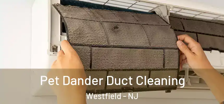 Pet Dander Duct Cleaning Westfield - NJ