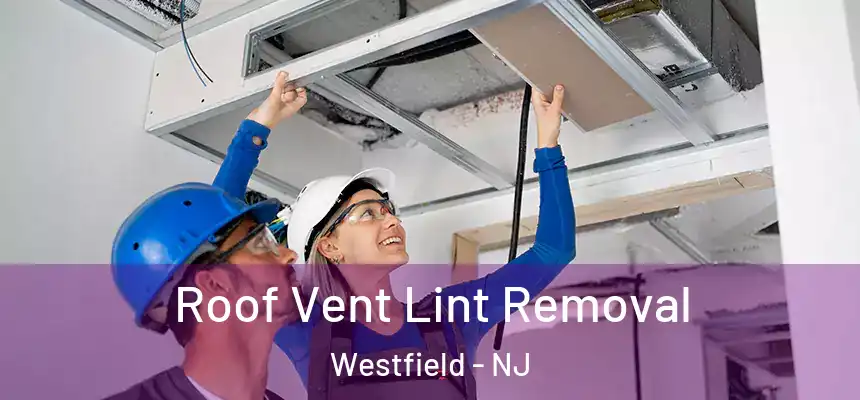  Roof Vent Lint Removal Westfield - NJ