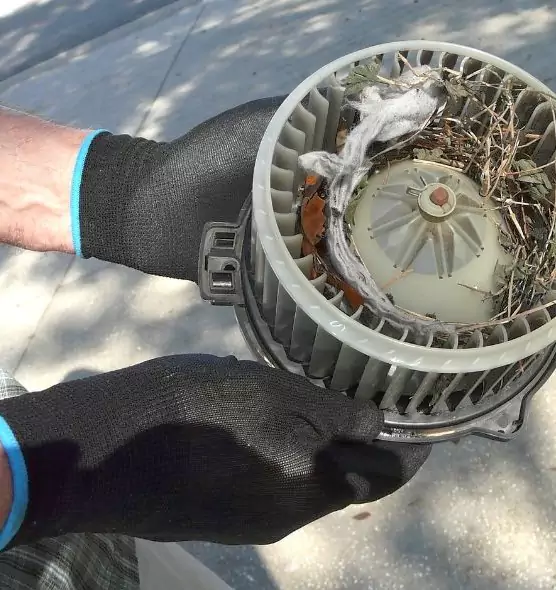 About Air Duct Rat Removal in Westfield, NJ