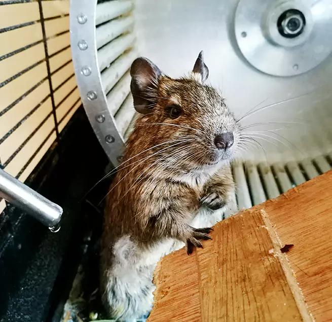 Why Homeowners & Businesses Trust Us Westfield, NJ