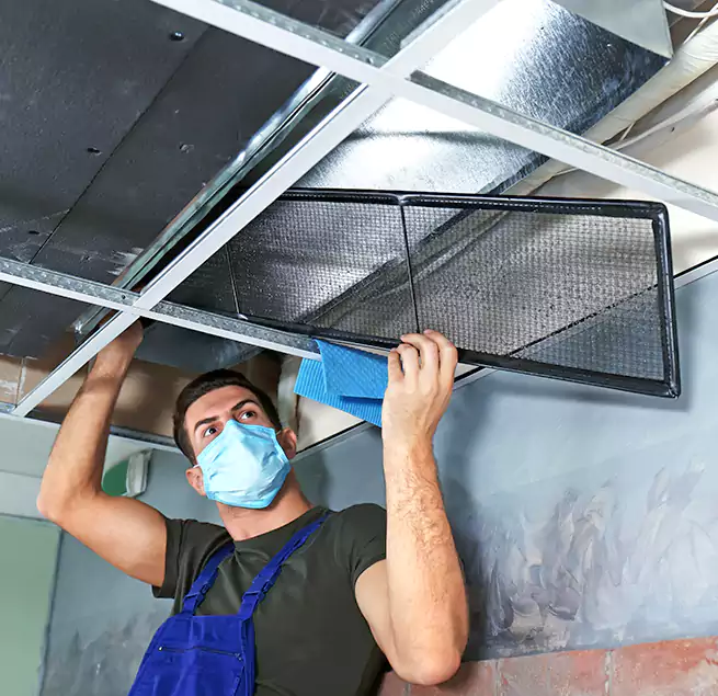 Why Homeowners Businesses Trust Us in Westfield, NJ