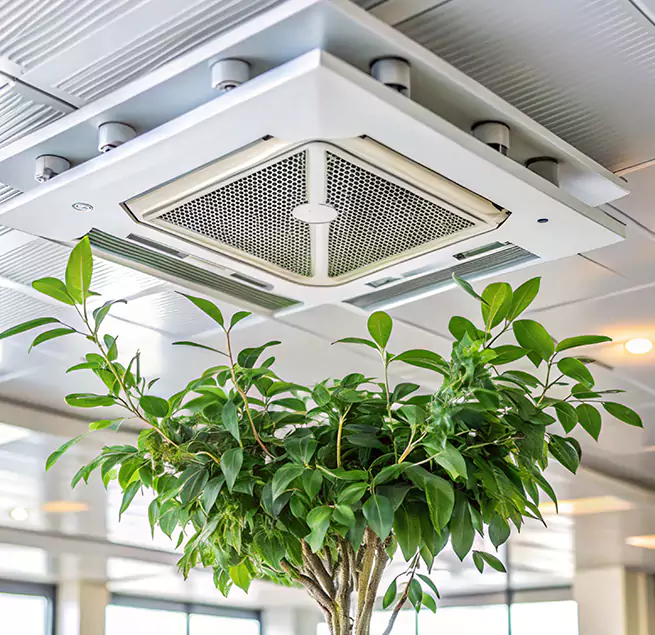 Why Homeowners & Businesses Trust Us in Westfield, NJ