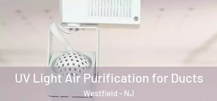  UV Light Air Purification for Ducts Westfield - NJ